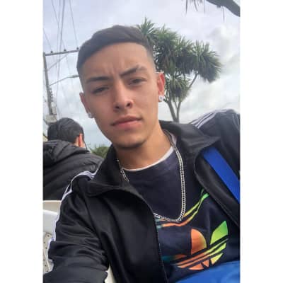 Foto de perfil del cuidador: Johan Andres G.