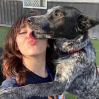 Sitter Profile Image: Abby R.