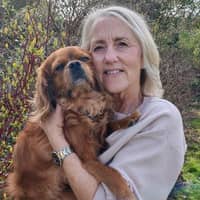 Sitter Profile Image: Helen W.