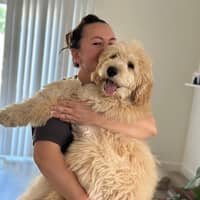 Sitter Profile Image: Irina S.