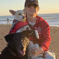 Sitter Profile Image: Lisa O.