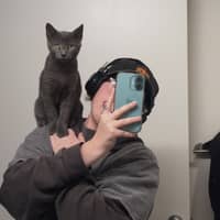 Sitter Profile Image: Wesley B.