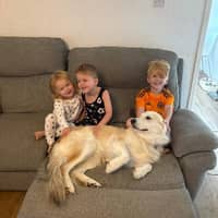 Sitter Profile Image: Jack B.