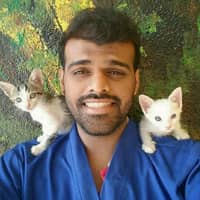 Sitter Profile Image: Rohit J.