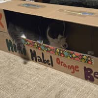 Sitter Profile Image: Kristi V.