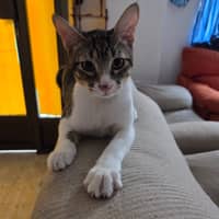 Foto del cuidador: Kevin Andrés R.