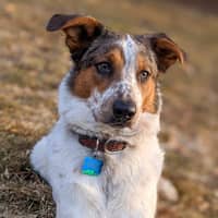 Sitter Profile Image: Lacie T.