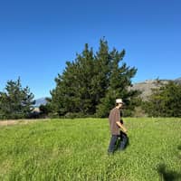 Sitter Profile Image: Alexander M.