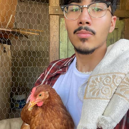 Sitter Profile Image: Derwin P.