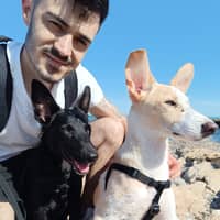 Foto del cuidador: Enrique H.