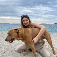 Immagine del profilo del sitter: Alisa Dilara A.