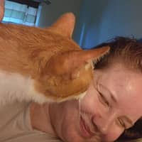 Sitter Profile Image: Erin D.