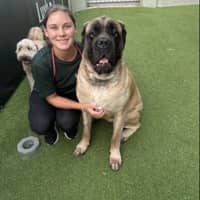 Sitter Profile Image: Madison E.