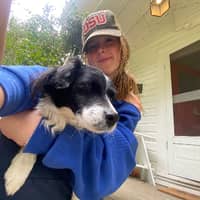 Sitter Profile Image: Iris h.