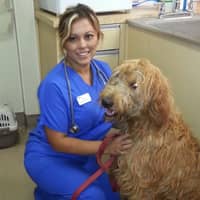 Sitter Profile Image: Viviana L.