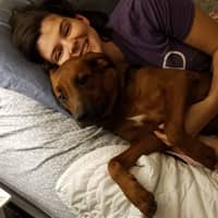 Sitter Profile Image: Hannah H.