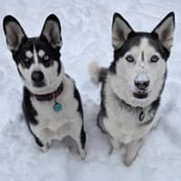 Sitter Profile Image: Emma C.