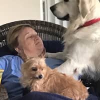 Sitter Profile Image: Donna T.