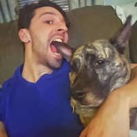 Sitter Profile Image: Dan B.