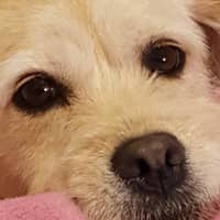 Sitter Profile Image: Katherine P.