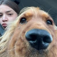 Photo de profil du pet sitter : Lorrie S.