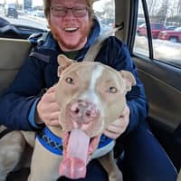 Sitter Profile Image: Lex L.