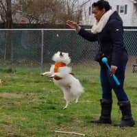 Sitter Profile Image: Vera M.