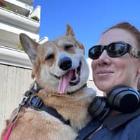 Profilbilde av hundepasser: Valeriia R.