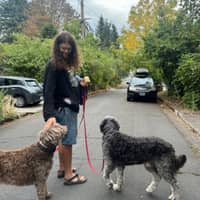 Sitter Profile Image: seth e.