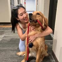 Sitter Profile Image: Jae (Hyojae) S.