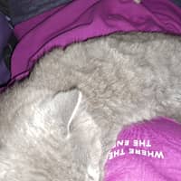 Sitterprofilbild: Melanie S.