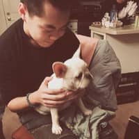 Passarens profilbild: Wenqin P.