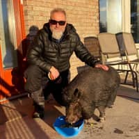 Sitter Profile Image: Stuart J.