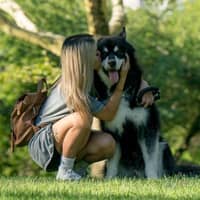 Sitter Profile Image: Katie J.