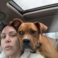 Sitter Profile Image: Erica S.