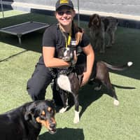 Sitter Profile Image: Ella F.