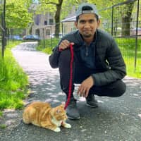 Sitter Profile Image: Gandhi Rajan M.