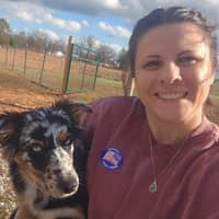 Sitter Profile Image: Allison H.