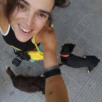 Photo de profil du pet sitter : Ana Carolina G.