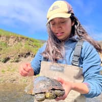 Sitter Profile Image: Monica T.