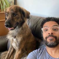 Photo de profil du pet sitter : Mohamed A.