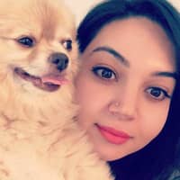 Sitter Profile Image: Guli A.