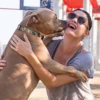 Sitter Profile Image: Sylvia W.