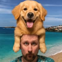 Sitter Profile Image: Nicholas T.