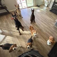 Sitter Profile Image: Hanming Z.