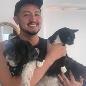 Fur-Father to two cats and two dogs