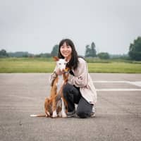 Sitter Profile Image: Yu Jin S.