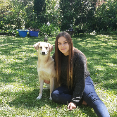 cat sitter etobicoke