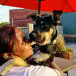 Sitter Profile Image: Sarah K.