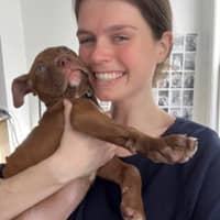 Sitter Profile Image: Josie W.